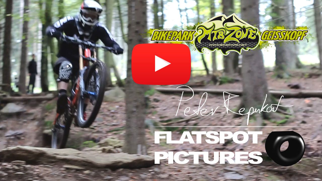 image Zgeiskopfvid.PmCYnxn5.jpg